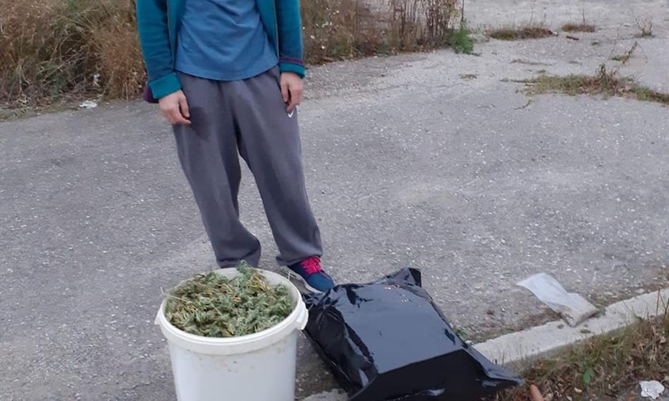 Záchyt konopí a kokainu